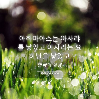 Picture 05 - 역대상 6:9 KOR - 아히마아스는 아사랴를 낳았고 - Bible Verse Picture