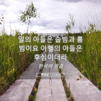 Picture 05 - 역대상 7:12 KOR - 일의 아들은 숩빔과 훔빔이요 아헬의 - Bible Verse Picture