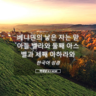 Picture 05 - 역대상 8:1 KOR - 베냐민의 낳은 자는 맏아들 벨라와 - Bible Verse Picture