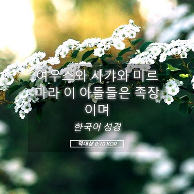 Picture 05 - 역대상 8:10 KOR - 여우스와 사갸와 미르마라 이 - Bible Verse Picture