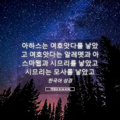 Picture 05 - 역대상 8:36 KOR - 아하스는 여호앗다를 낳았고 - Bible Verse Picture