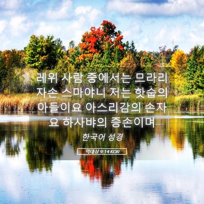 Picture 05 - 역대상 9:14 KOR - 레위 사람 중에서는 므라리 자손 - Bible Verse Picture
