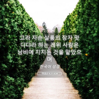 Picture 05 - 역대상 9:31 KOR - 고라 자손 살룸의 장자 맛디댜라 - Bible Verse Picture