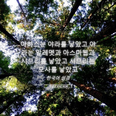 Picture 05 - 역대상 9:42 KOR - 아하스는 야라를 낳았고 야라는 - Bible Verse Picture
