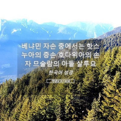 Picture 05 - 역대상 9:7 KOR - 베냐민 자손 중에서는 핫스누아의 - Bible Verse Picture