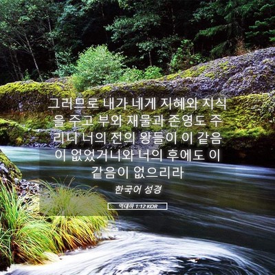 Picture 05 - 역대하 1:12 KOR - 그러므로 내가 네게 지혜와 지식을 - Bible Verse Picture