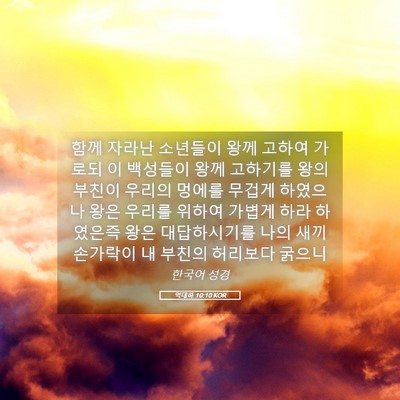 Picture 05 - 역대하 10:10 KOR - 함께 자라난 소년들이 왕께 고하여 - Bible Verse Picture