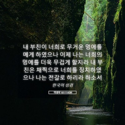 Picture 05 - 역대하 10:11 KOR - 내 부친이 너희로 무거운 멍에를 - Bible Verse Picture