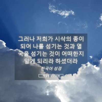 Picture 05 - 역대하 12:8 KOR - 그러나 저희가 시삭의 종이 되어 - Bible Verse Picture