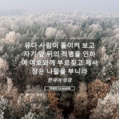Picture 05 - 역대하 13:14 KOR - 유다 사람이 돌이켜 보고 자기 앞 - Bible Verse Picture