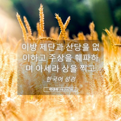 Picture 05 - 역대하 14:3 KOR - 이방 제단과 산당을 없이하고 주상을 - Bible Verse Picture