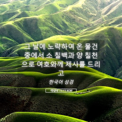Picture 05 - 역대하 15:11 KOR - 그 날에 노략하여 온 물건 중에서 소 - Bible Verse Picture
