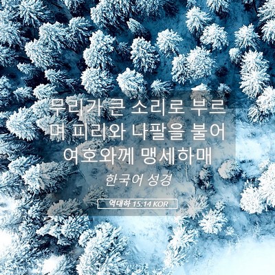 Picture 05 - 역대하 15:14 KOR - 무리가 큰 소리로 부르며 피리와 - Bible Verse Picture