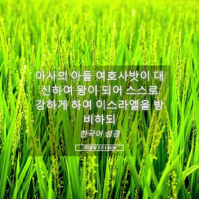 Picture 05 - 역대하 17:1 KOR - 아사의 아들 여호사밧이 대신하여 - Bible Verse Picture