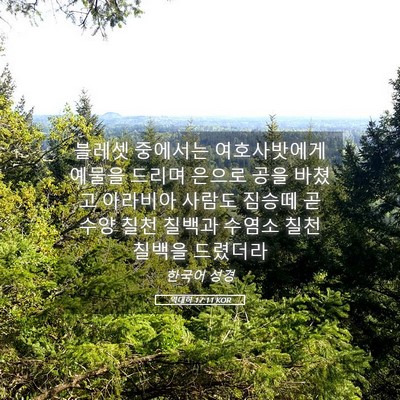 Picture 05 - 역대하 17:11 KOR - 블레셋 중에서는 여호사밧에게 - Bible Verse Picture