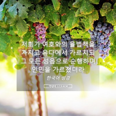 Picture 05 - 역대하 17:9 KOR - 저희가 여호와의 율법책을 가지고 - Bible Verse Picture