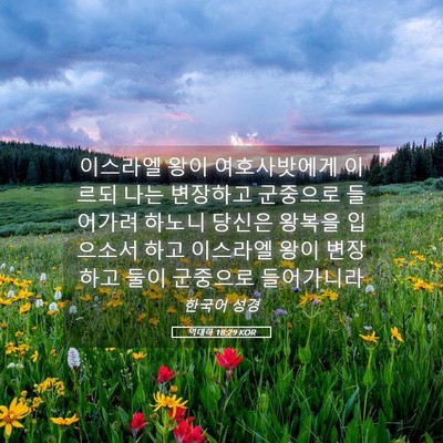Picture 05 - 역대하 18:29 KOR - 이스라엘 왕이 여호사밧에게 이르되 - Bible Verse Picture