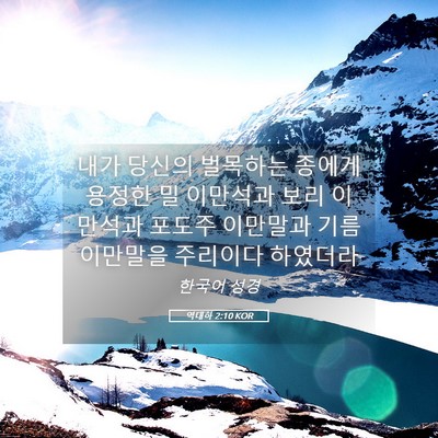 Picture 05 - 역대하 2:10 KOR - 내가 당신의 벌목하는 종에게 용정한 - Bible Verse Picture