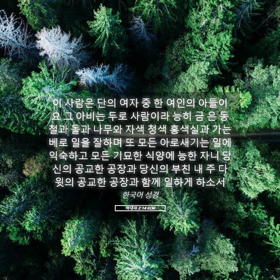 Picture 05 - 역대하 2:14 KOR - 이 사람은 단의 여자 중 한 여인의 - Bible Verse Picture