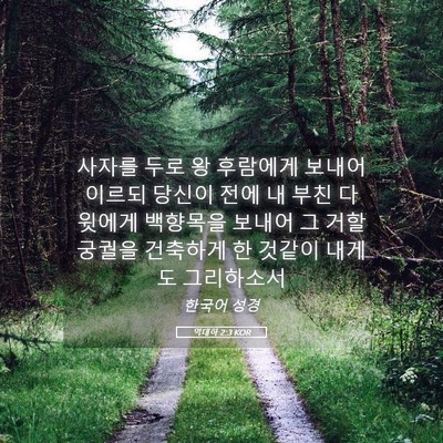 Picture 05 - 역대하 2:3 KOR - 사자를 두로 왕 후람에게 보내어 - Bible Verse Picture