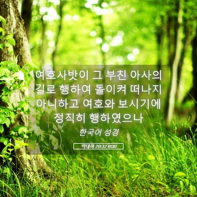 Picture 05 - 역대하 20:32 KOR - 여호사밧이 그 부친 아사의 길로 - Bible Verse Picture