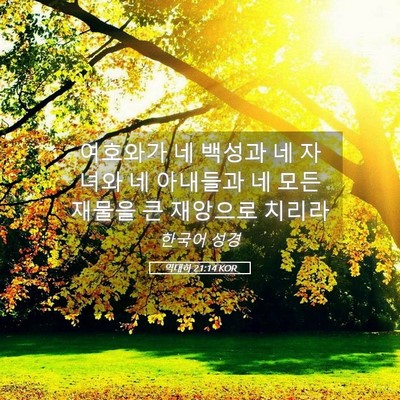 Picture 05 - 역대하 21:14 KOR - 여호와가 네 백성과 네 자녀와 네 - Bible Verse Picture