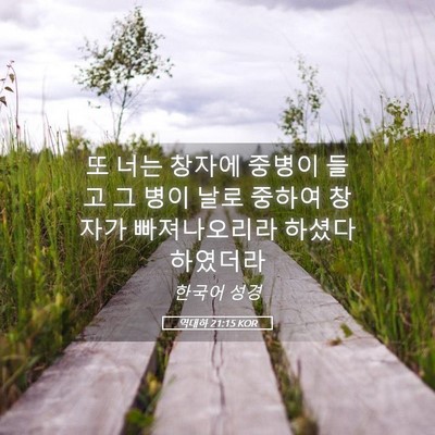 Picture 05 - 역대하 21:15 KOR - 또 너는 창자에 중병이 들고 그 병이 - Bible Verse Picture