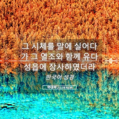Picture 05 - 역대하 25:28 KOR - 그 시체를 말에 실어다가 그 열조와 - Bible Verse Picture