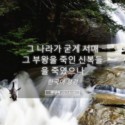 Picture 05 - 역대하 25:3 KOR - 그 나라가 굳게 서매 그 부왕을 죽인 - Bible Verse Picture