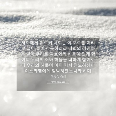 Picture 05 - 역대하 28:13 KOR - 저희에게 이르되 너희는 이 포로를 - Bible Verse Picture