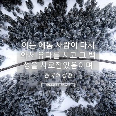 Picture 05 - 역대하 28:17 KOR - 이는 에돔 사람이 다시 와서 유다를 - Bible Verse Picture