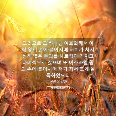 Picture 05 - 역대하 28:5 KOR - 그러므로 그 하나님 여호와께서 아람 - Bible Verse Picture
