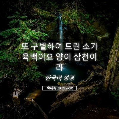 Picture 05 - 역대하 29:33 KOR - 또 구별하여 드린 소가 육백이요 - Bible Verse Picture