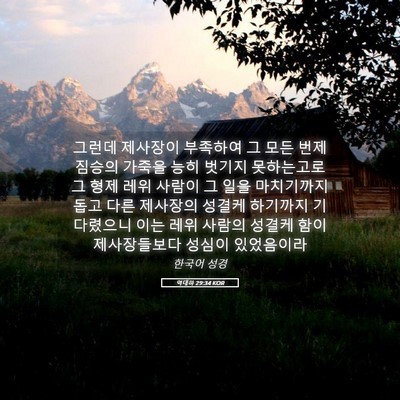 Picture 05 - 역대하 29:34 KOR - 그런데 제사장이 부족하여 그 모든 - Bible Verse Picture