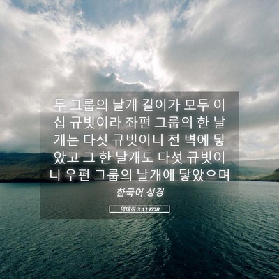 Picture 05 - 역대하 3:11 KOR - 두 그룹의 날개 길이가 모두 이십 - Bible Verse Picture