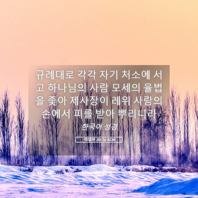 Picture 05 - 역대하 30:16 KOR - 규례대로 각각 자기 처소에 서고 - Bible Verse Picture