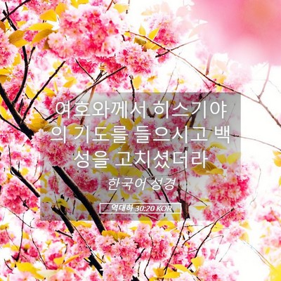 Picture 05 - 역대하 30:20 KOR - 여호와께서 히스기야의 기도를 - Bible Verse Picture