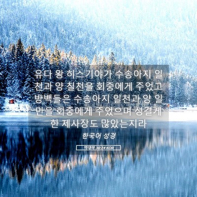Picture 05 - 역대하 30:24 KOR - 유다 왕 히스기야가 수송아지 일천과 - Bible Verse Picture