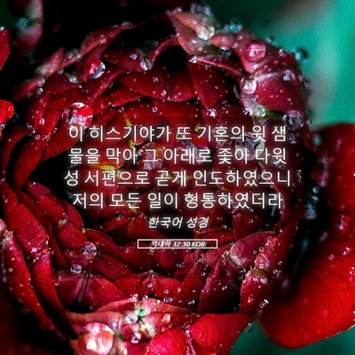 Picture 05 - 역대하 32:30 KOR - 이 히스기야가 또 기혼의 윗 샘물을 - Bible Verse Picture