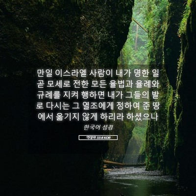 Picture 05 - 역대하 33:8 KOR - 만일 이스라엘 사람이 내가 명한 일 - Bible Verse Picture