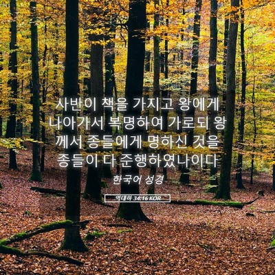 Picture 05 - 역대하 34:16 KOR - 사반이 책을 가지고 왕에게 나아가서 - Bible Verse Picture