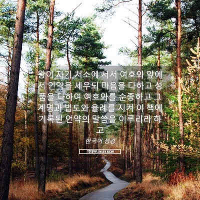 Picture 05 - 역대하 34:31 KOR - 왕이 자기 처소에 서서 여호와 - Bible Verse Picture