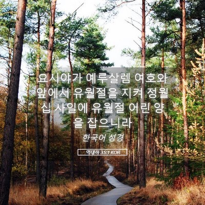 Picture 05 - 역대하 35:1 KOR - 요시야가 예루살렘 여호와 앞에서 - Bible Verse Picture
