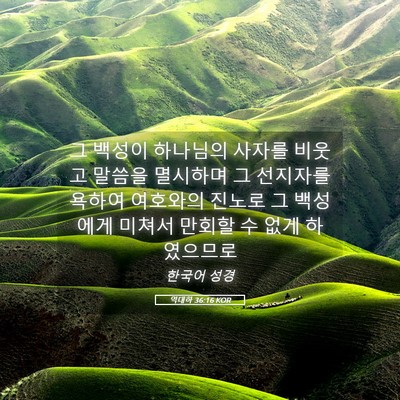 Picture 05 - 역대하 36:16 KOR - 그 백성이 하나님의 사자를 비웃고 - Bible Verse Picture