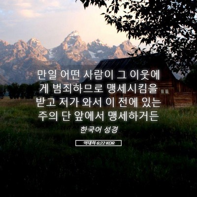 Picture 05 - 역대하 6:22 KOR - 만일 어떤 사람이 그 이웃에게 - Bible Verse Picture