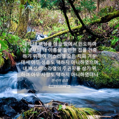 Picture 05 - 역대하 6:5 KOR - 내가 내 백성을 애굽 땅에서 - Bible Verse Picture