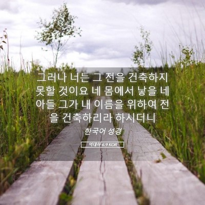 Picture 05 - 역대하 6:9 KOR - 그러나 너는 그 전을 건축하지 못할 - Bible Verse Picture