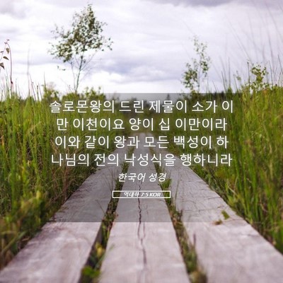 Picture 05 - 역대하 7:5 KOR - 솔로몬왕의 드린 제물이 소가 이만 - Bible Verse Picture