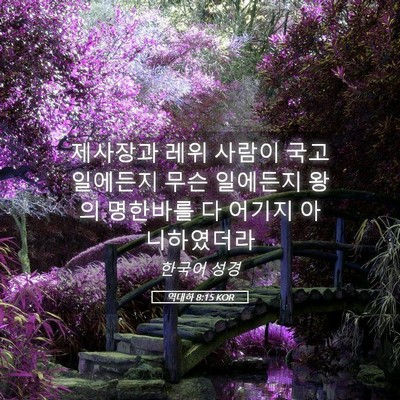 Picture 05 - 역대하 8:15 KOR - 제사장과 레위 사람이 국고 일에든지 - Bible Verse Picture