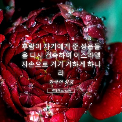 Picture 05 - 역대하 8:2 KOR - 후람이 자기에게 준 성읍들을 다시 - Bible Verse Picture